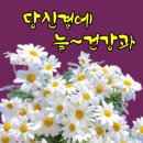 며느리 생일!!! 이미지