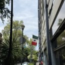 D+8~9] 🇲🇽 멕시코 대선 선거운동 직관 | 멕시코시티, 소칼로광장, 센트로 히스토리코, 한인미용실 샬롬헤어