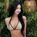 하빈 이미지