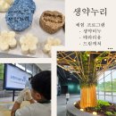 생약누리 아이와 체험 프로그램 생약비누, 드림캐쳐, 테라리움 만들기 사전예약