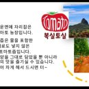 복실스토어