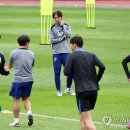 홍명보 카카오 검색결과