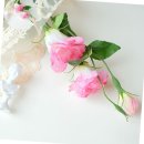 뉴매직크린 이미지