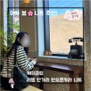 여자 봄니트🌸추천 / 케이클럽 리젬 단가라 반오픈 카라니트 - 블랙컬러 s 사이즈 리뷰!