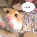 럭 팩토리 이미지