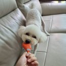 나보다 예쁘개 이미지