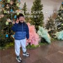 동보식당 | 레스트리 리솜 s30 숙박 모요우 마묵라운지 후기