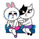 신림종합동물병원 이미지