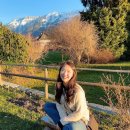 통나무민박4 이미지