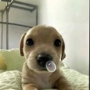 너.애.개 | 라이즈 RIIZE 전시회 후기 일민미술관 고요와 파동 MD 추천