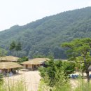 삼강식물원 이미지