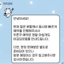 바이초콜렛&공방 | 파주 아띠공방 두바이쫀득쿠키 오픈런 후기
