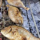 고흥전통시장 이미지