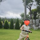 5세 네발자전거 고민종결 / 트렉 프리칼리버 16인치 내돈내산 구매 후기 공유