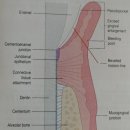 코끼리동물병원 이미지