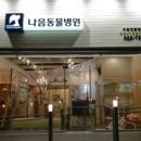 나음동물병원 이미지
