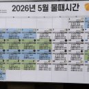 샌드힐 | 태안 신두57캠핑장, 해루질, 모래놀이, 근처 가볼만한 곳