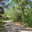 남목신발 이미지