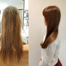 컬리 살롱 이미지