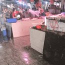 대륙수산 Daum카페