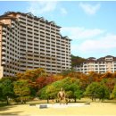 대명리조트 이미지