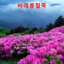 태진식당 이미지