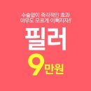 펜션빛뜨란 | 정자역필러 코필러후기