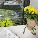 일기는 미루지 말자. 미루면 3개월치를 한번에 쓰느라 울면서 쓰게 된다. 물론 보는 사람도 너무 길어서...
