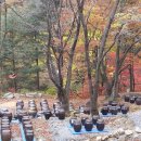 산야초세상