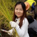 대월초등학교 이미지