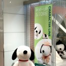 톰앤키티 이미지