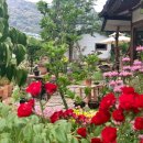 돌담집민박 이미지