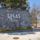 덕산은성식당 | 온천워터파크에서 아기랑 호캉스-덕산 스플라스리솜에서 1박2일