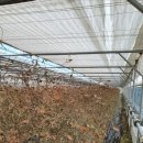 오가네 하우스 이미지