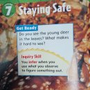 1-17 Staying Safe 이미지