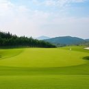 오름 스크린 골프 이미지