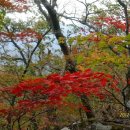 10월 정기산행 북설악산---상봉(1242m)&신선봉(1204m)--- 이미지