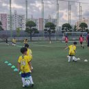 최강희축구교실에서 초등학생 매주 수업 들어요 | 양천구축구교실 후기