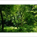 김포 장릉 이미지