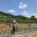 연천군건강증진센터 이미지