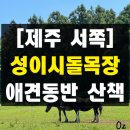 수평목장 | 제주 혼자 여행 서쪽 코스 성이시돌목장 현실적인 솔직 후기 제주 포토존 애견동반 아이랑 무료 관광지