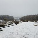 둔내로 차향기 이미지