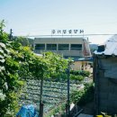 여명농장 이미지