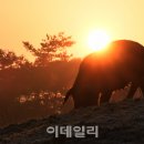 돈다산농장 이미지