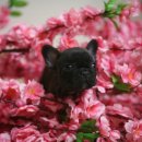 ZANYCAMP(재니캠프) 이미지