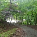 박달재휴양림 이미지