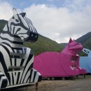 비학산자연휴양림 이미지