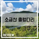 [국내여행] 원주 소금산 출렁다리(간현관광지)다녀온 후기