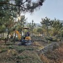 곰솔농장 이미지