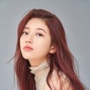 작헤어5호 이미지